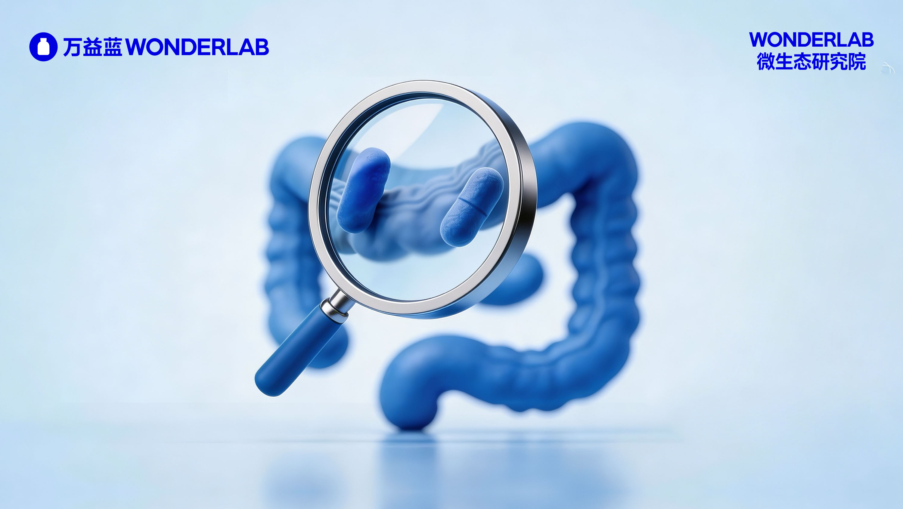 https://www.wonderlab.top/cn/resources/image/2026/04/14/794701040607301.jpg