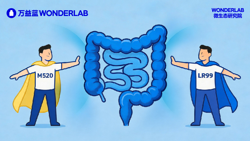 https://www.wonderlab.top/cn/resources/image/2026/06/01/811690979639365.jpeg