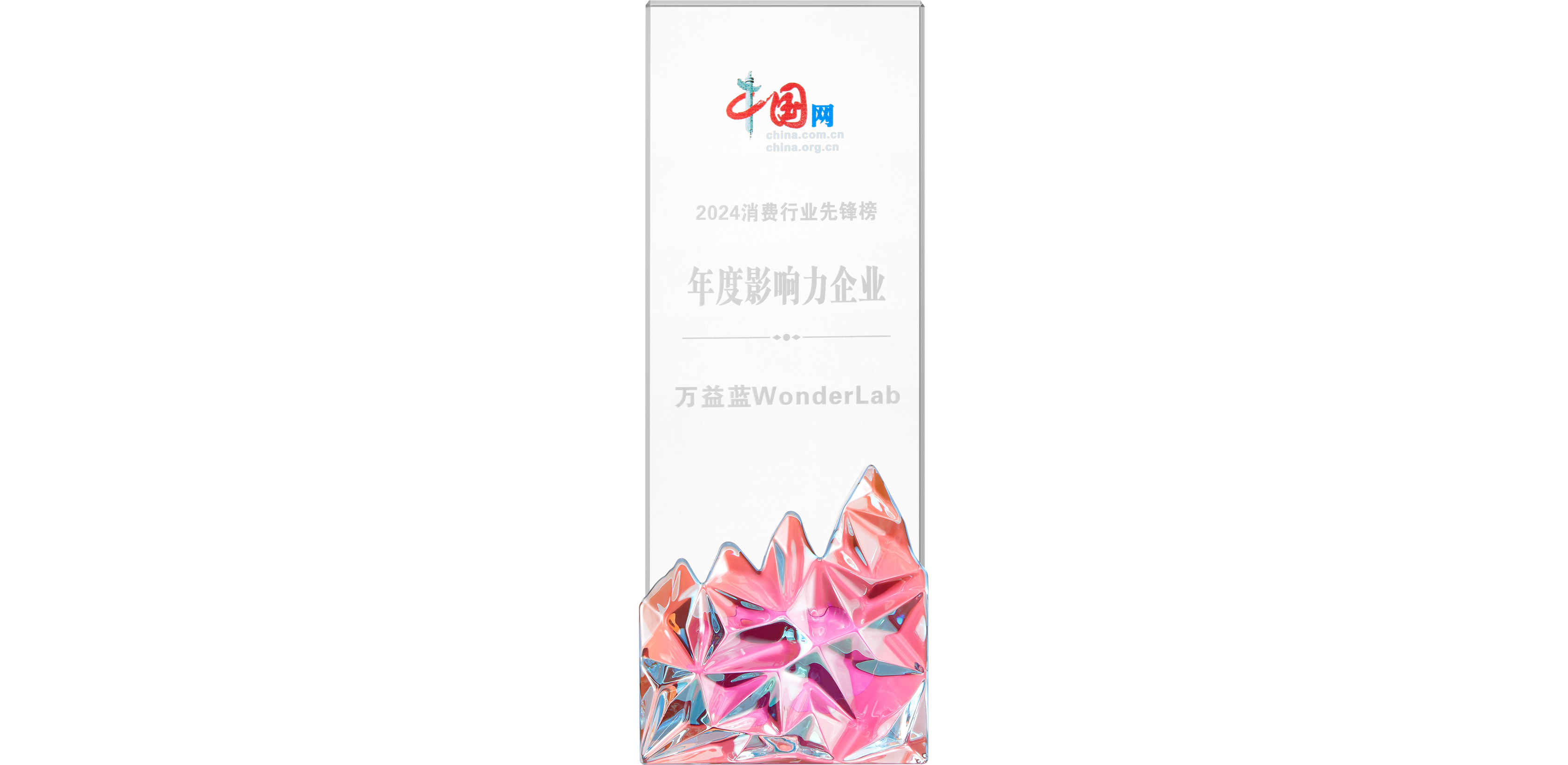 中国网:消费行业先锋榜年度影响力企业