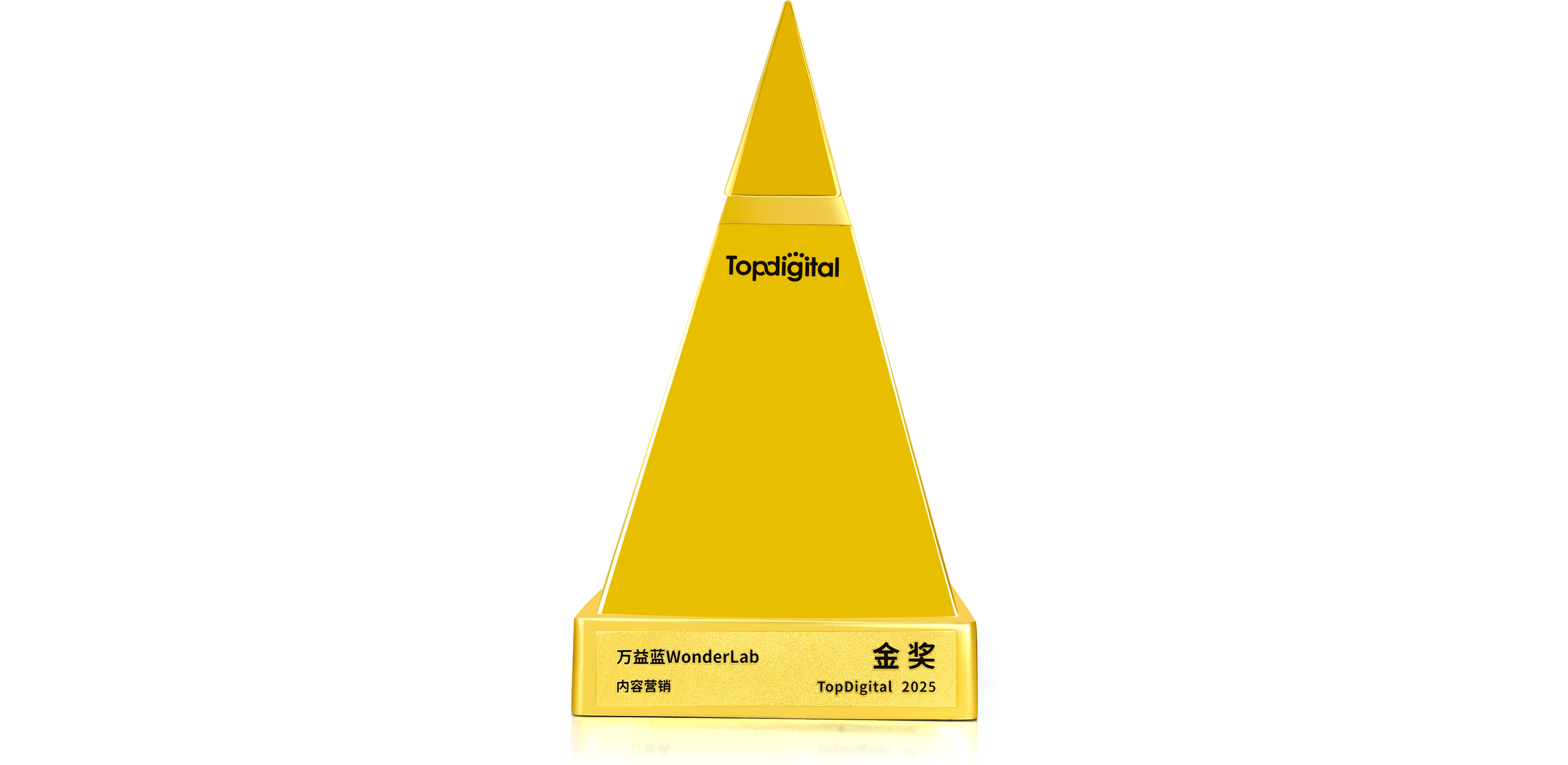 第十三届TopDigital:创新营销奖金奖